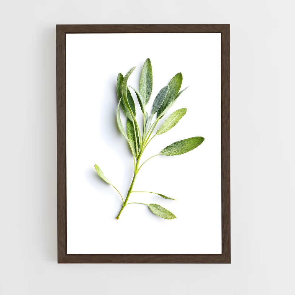 ap-sage-10 cadre Bois foncé