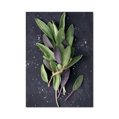 Poster Feuilles de Sage