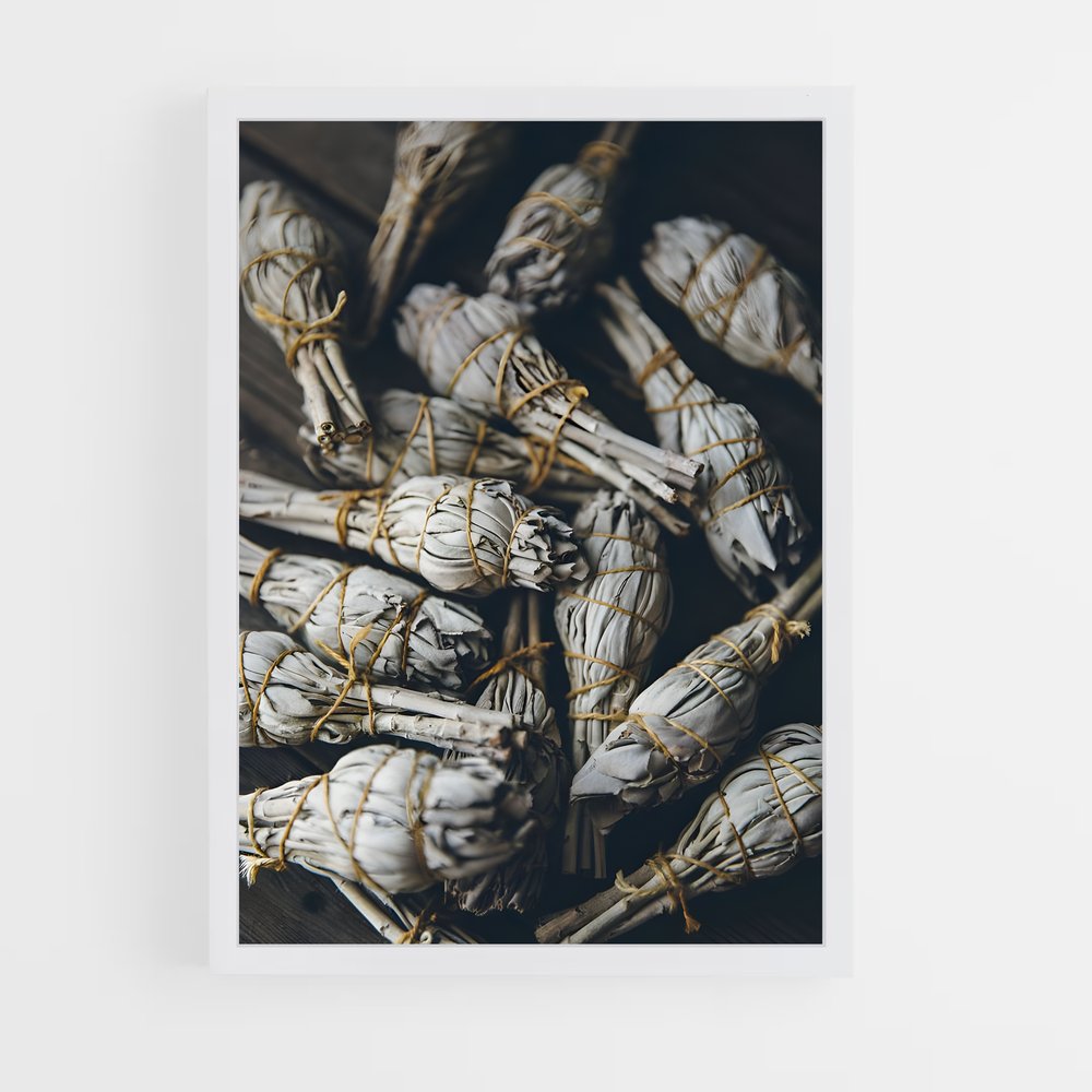 ap-sage-13 cadre Blanc
