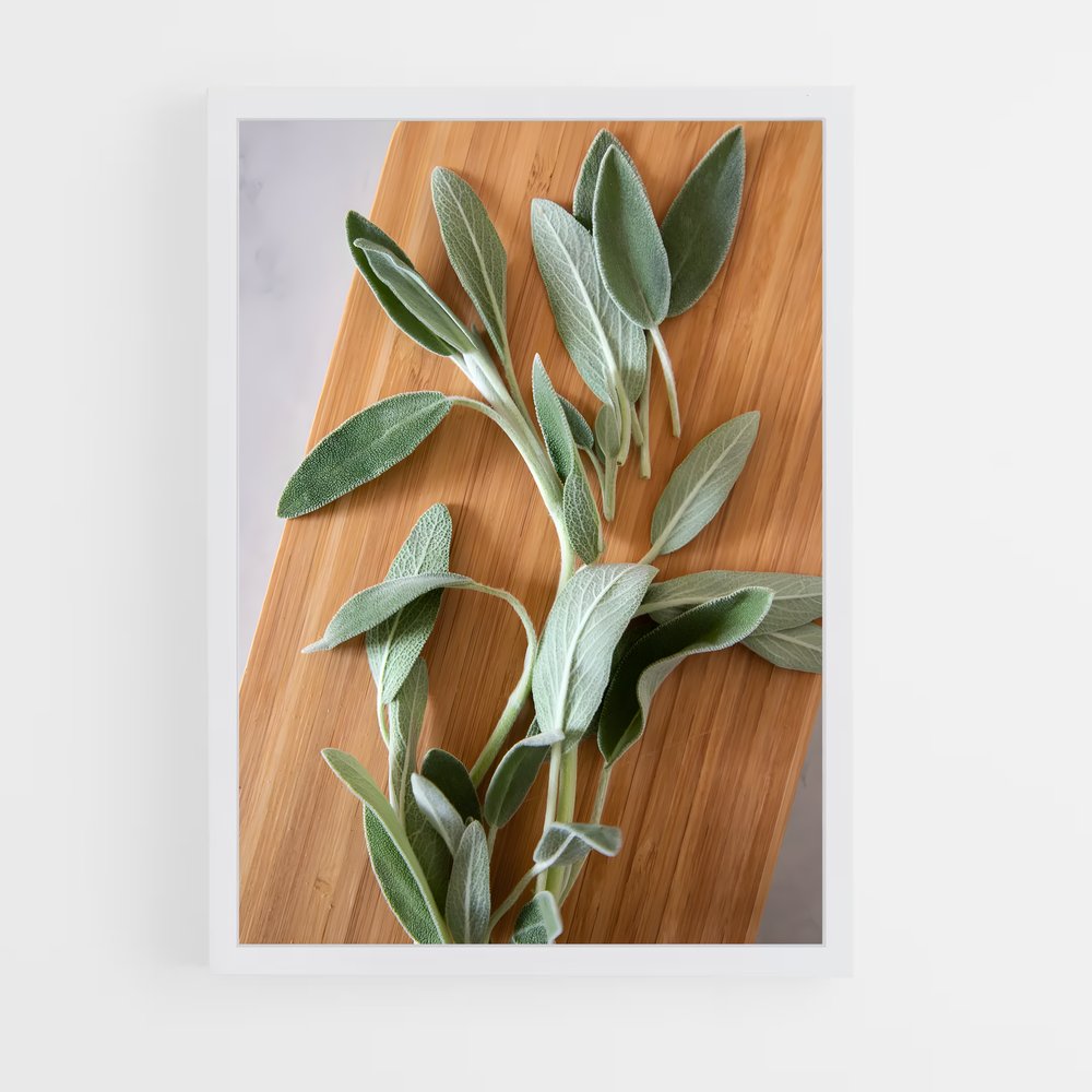 ap-sage-14 cadre Blanc