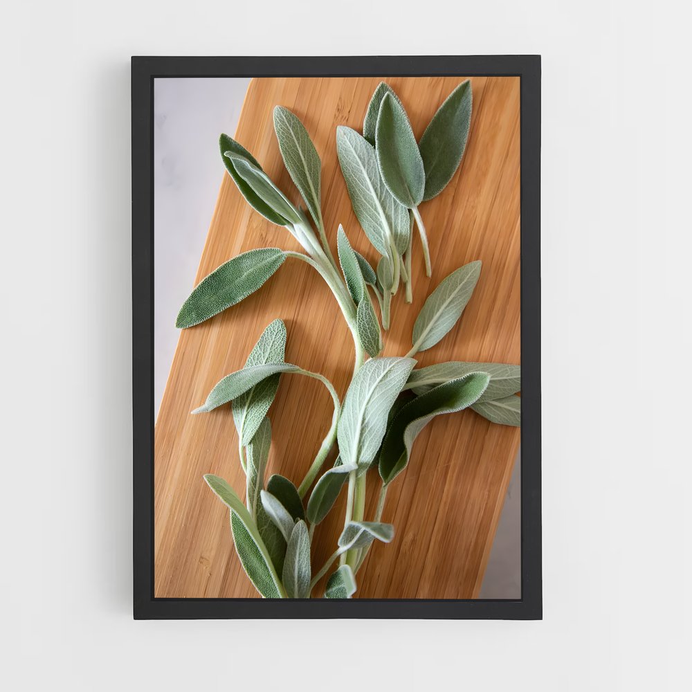 ap-sage-14 cadre Noir