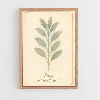 ap-sage-15 cadre Bois clair