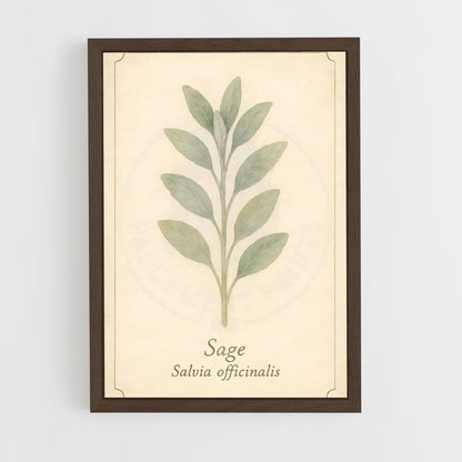 ap-sage-15 cadre Bois foncé