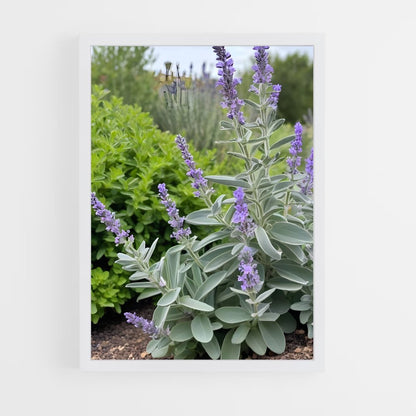 ap-sage-9 cadre Blanc
