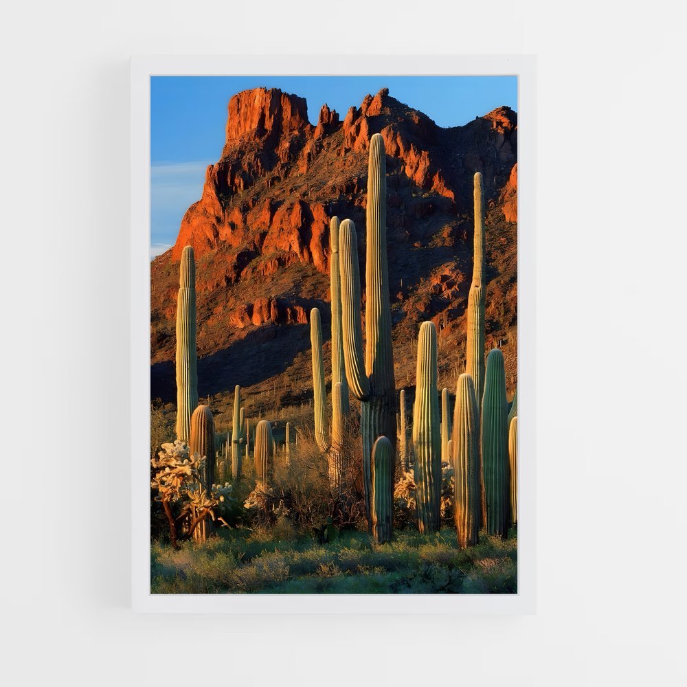 ap-saguaro-1 cadre Blanc