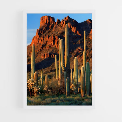ap-saguaro-1 cadre Blanc
