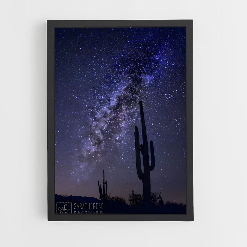 ap-saguaro-2 cadre Noir