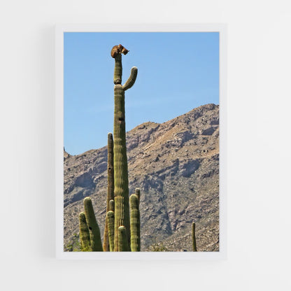 ap-saguaro-3 cadre Blanc