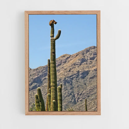 ap-saguaro-3 cadre Bois clair