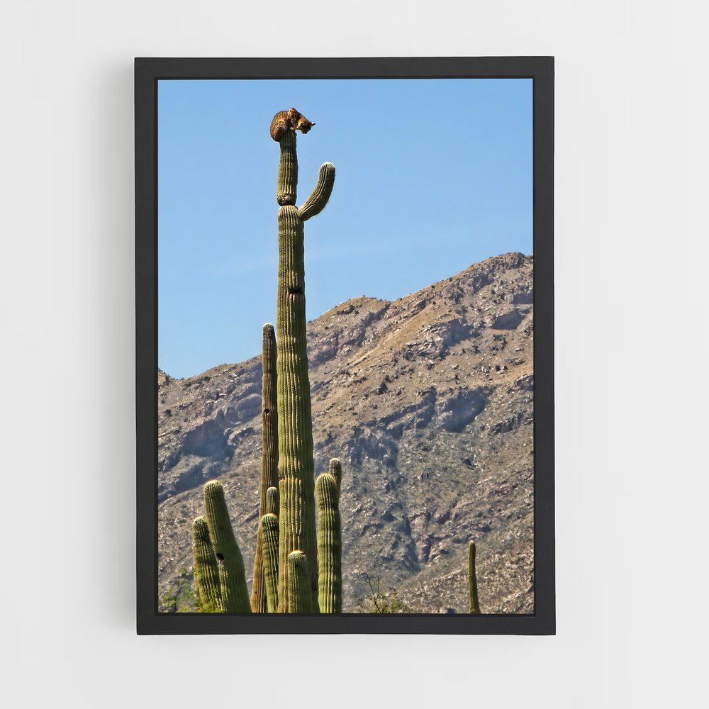 ap-saguaro-3 cadre Noir