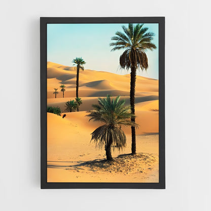ap-sahara desert-4 cadre Noir