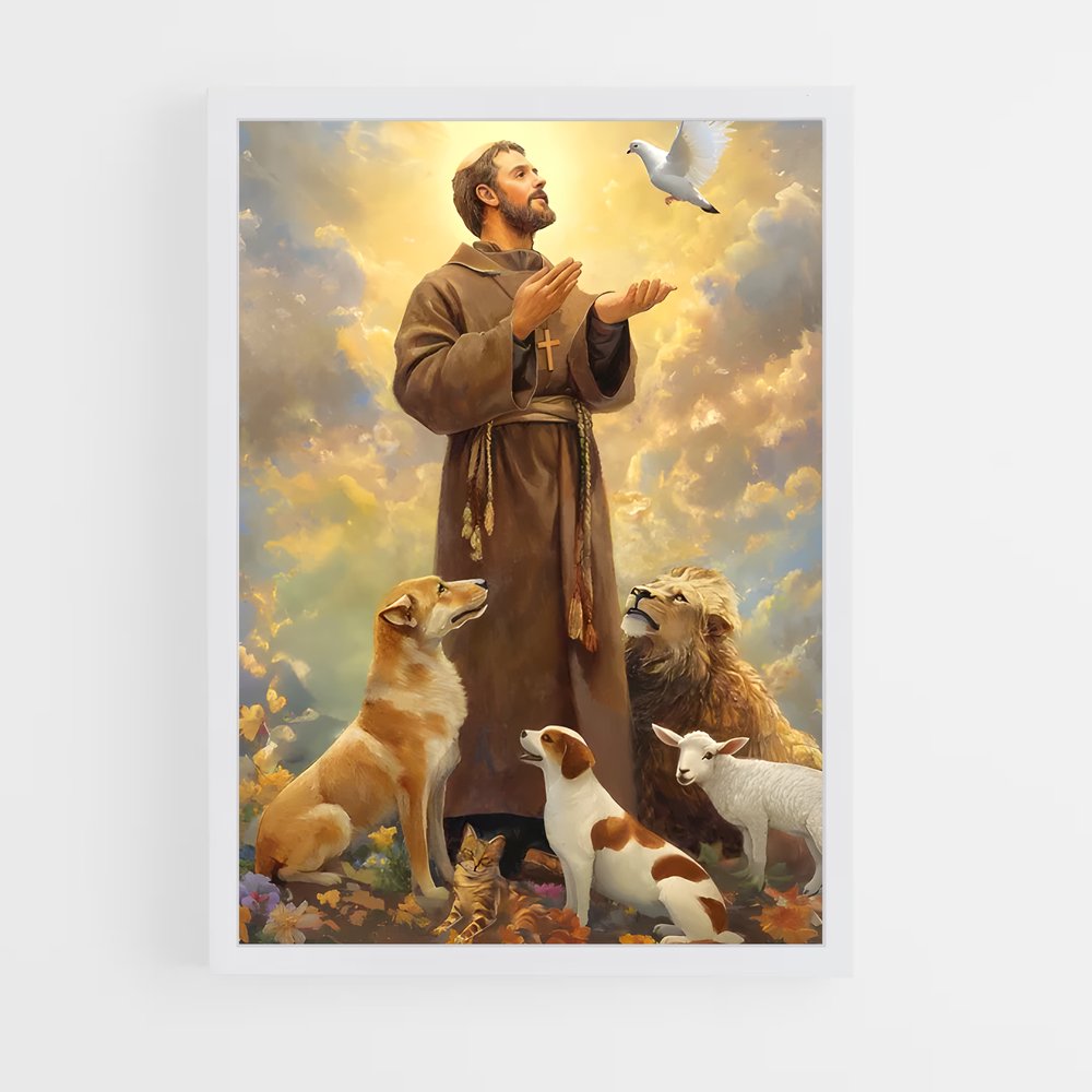 ap-saint francis-2 cadre Blanc