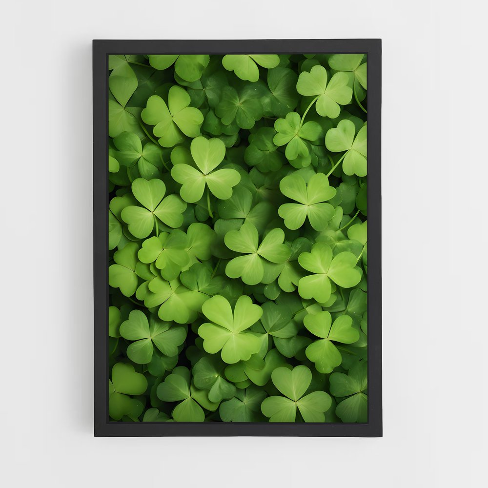 ap-saint patrick-4 cadre Noir