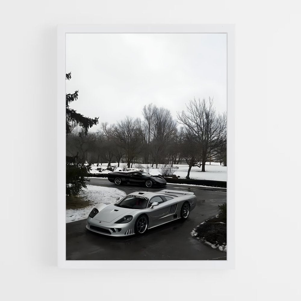 ap-saleen-3 cadre Blanc