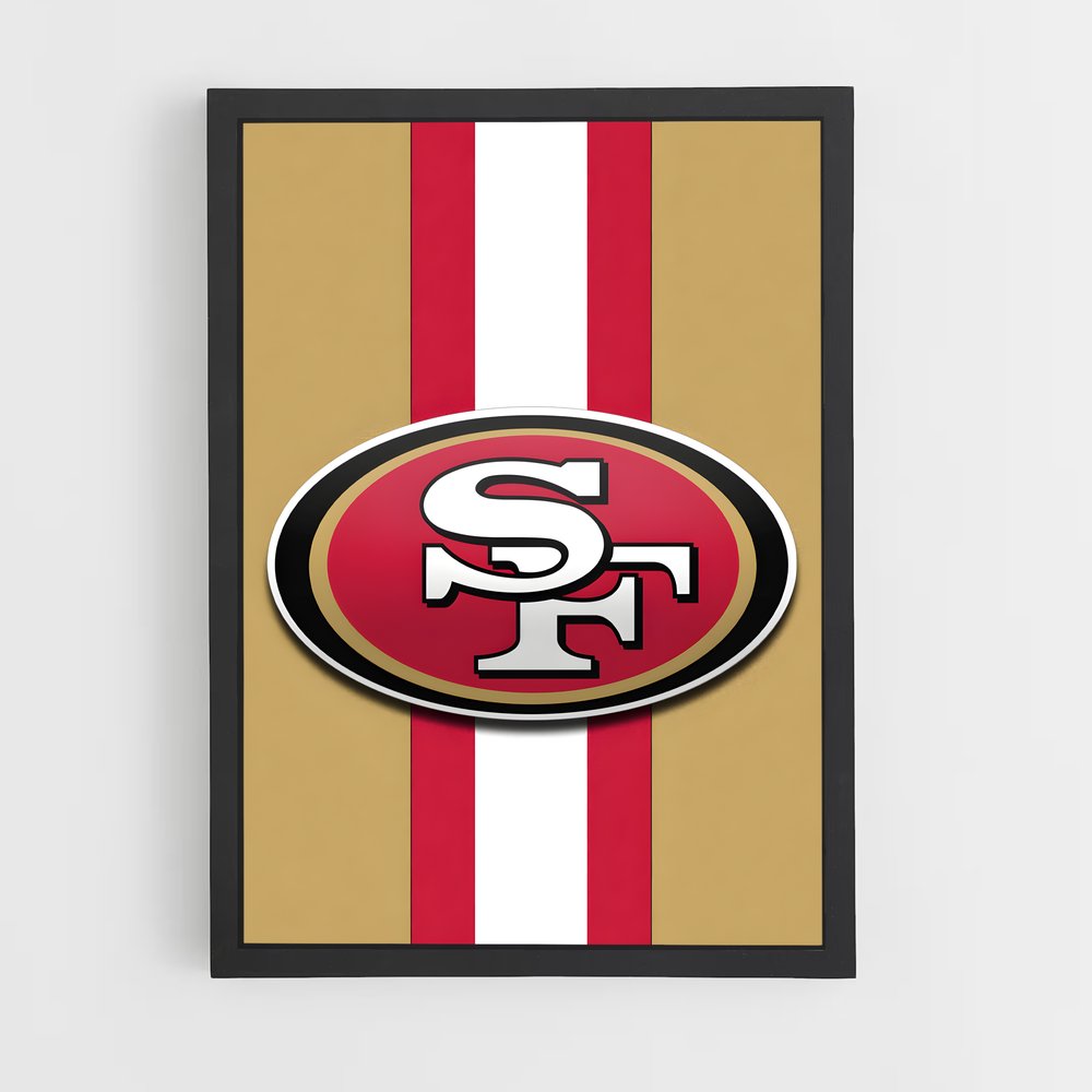ap-san francisco 49ers-6 cadre Noir