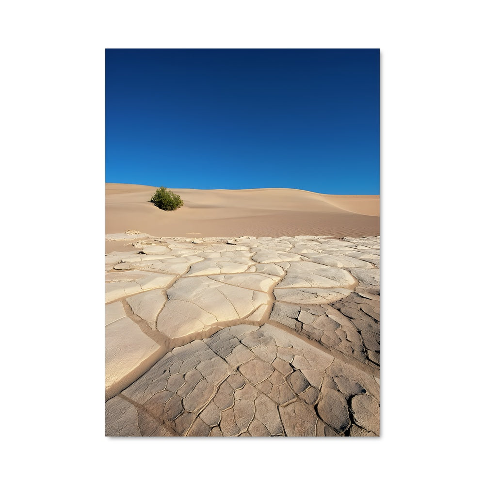 Poster Solitude Saharienne