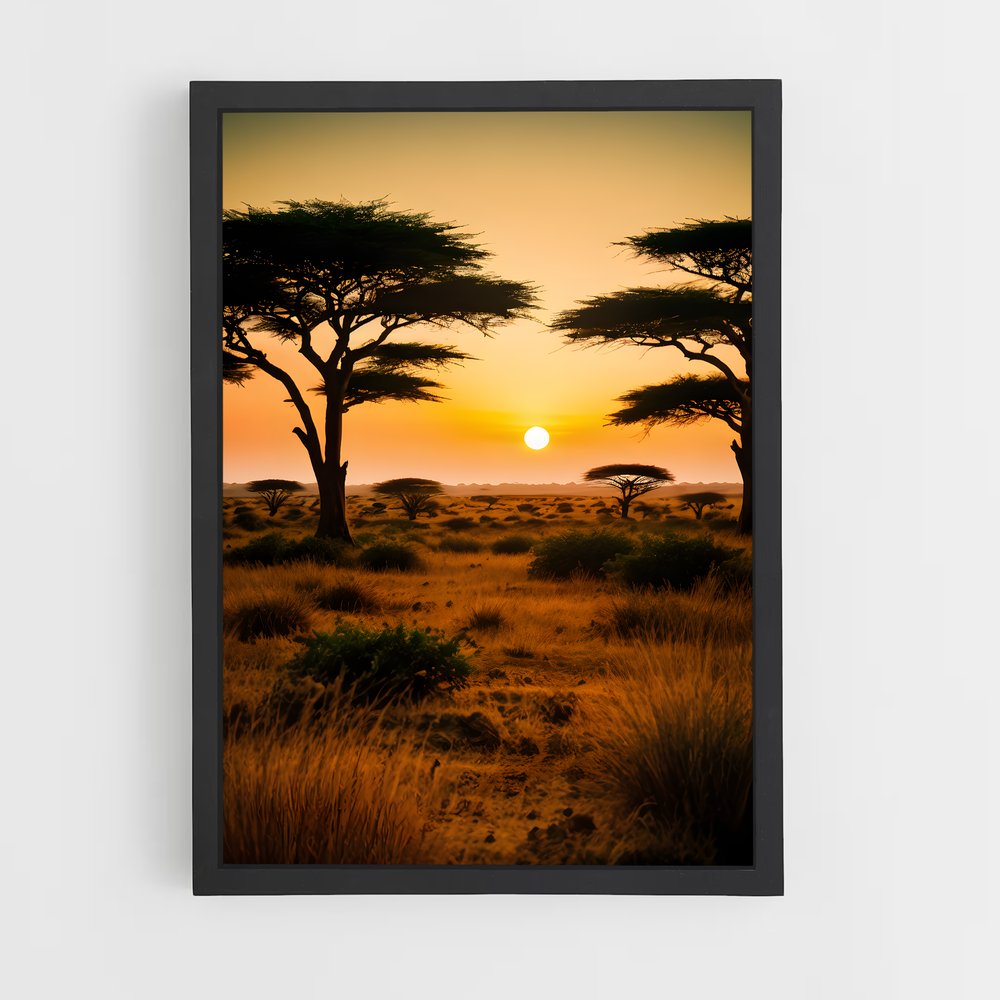 ap-savanna-1 cadre Noir