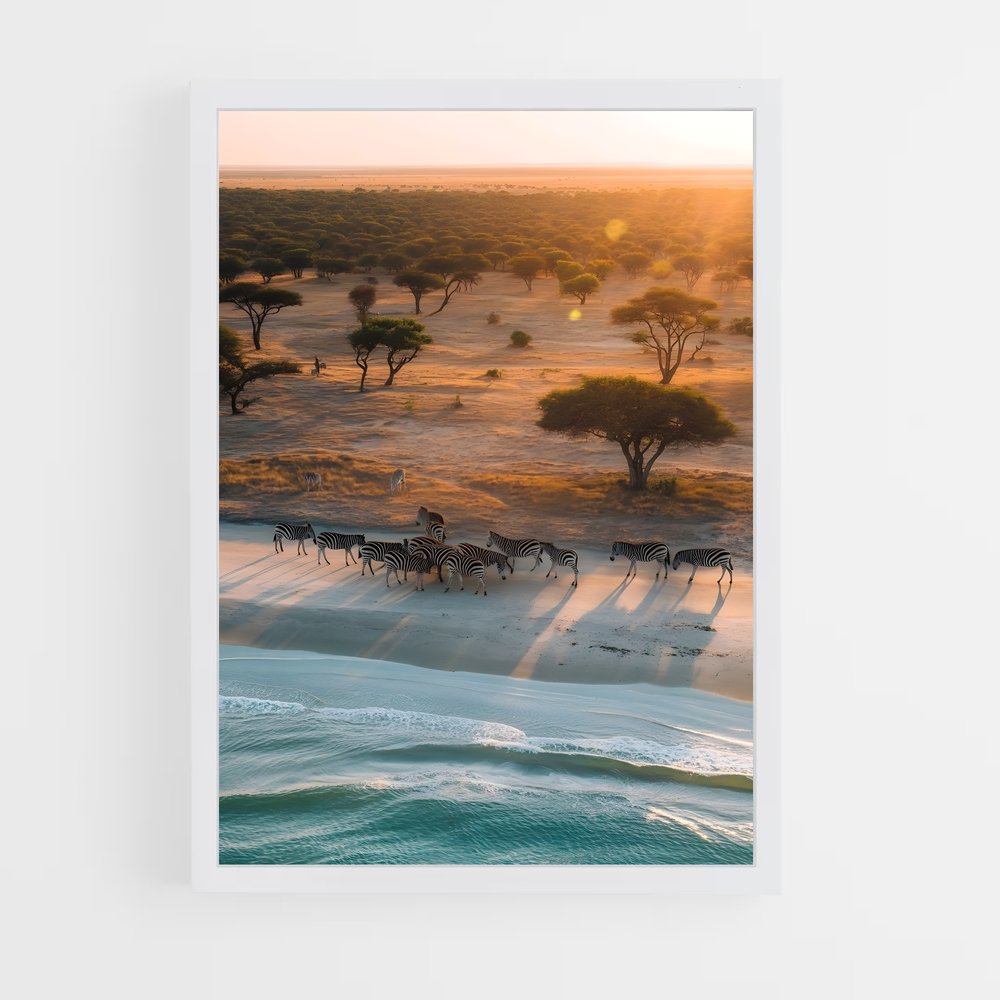 ap-savanna-2 cadre Blanc
