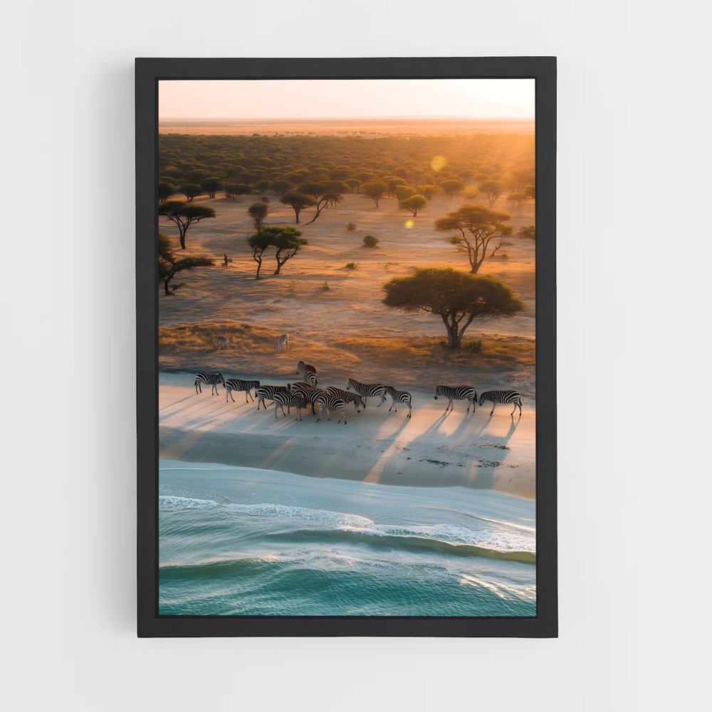 ap-savanna-2 cadre Noir