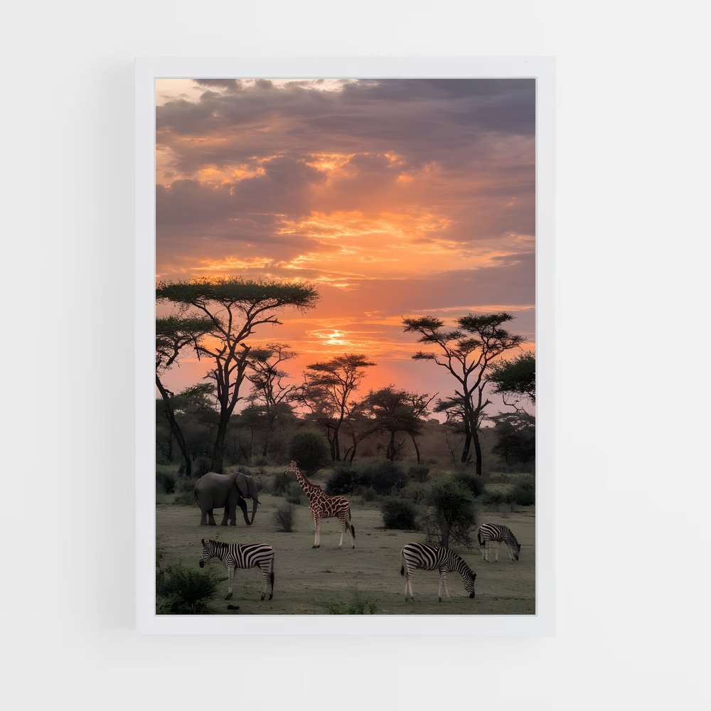 ap-savanna-4 cadre Blanc