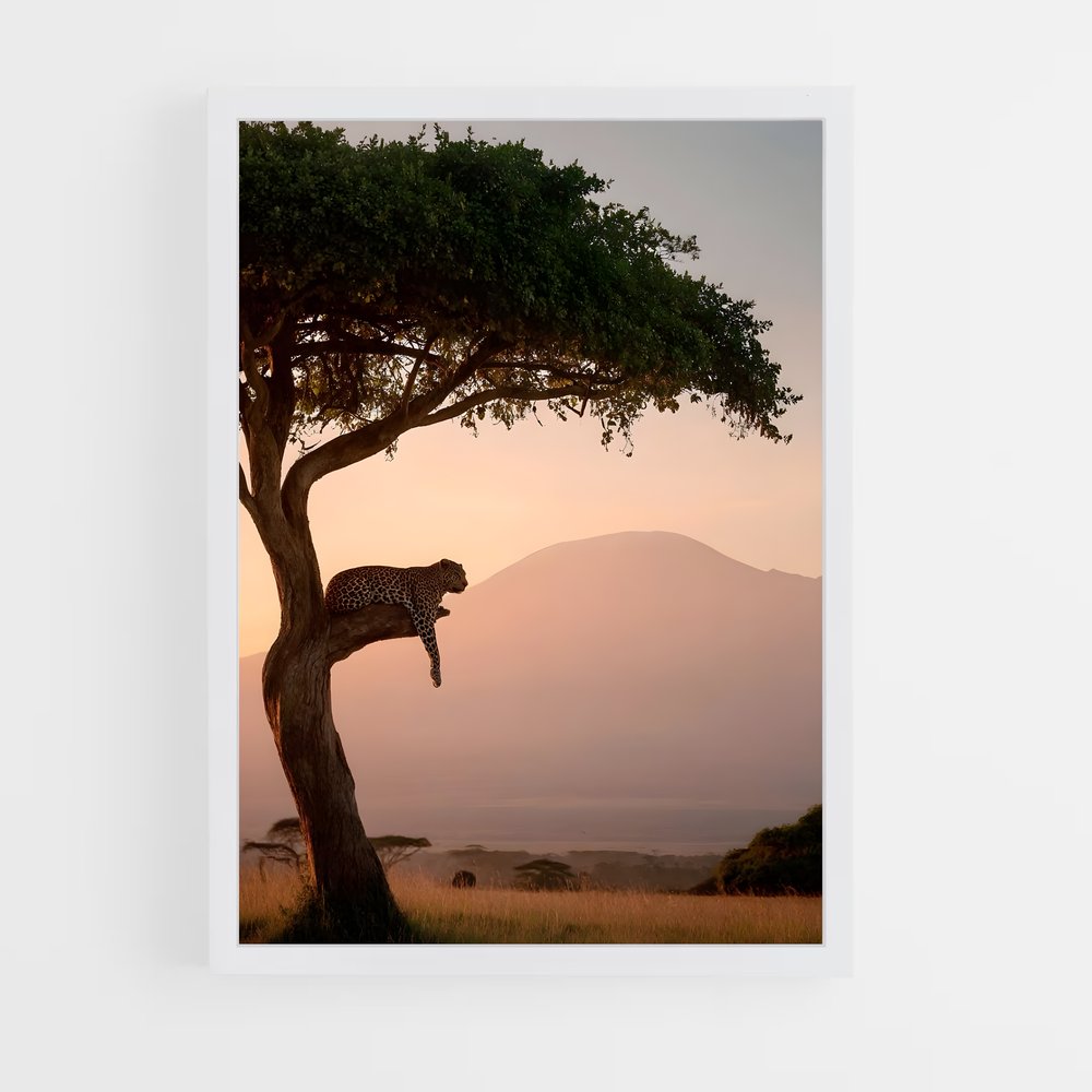 ap-savanna-6 cadre Blanc