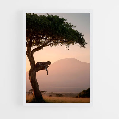 ap-savanna-6 cadre Blanc