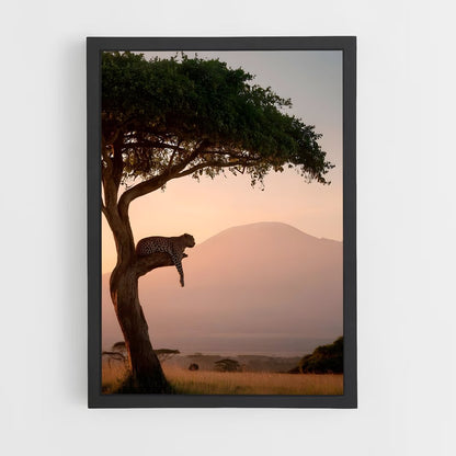 ap-savanna-6 cadre Noir