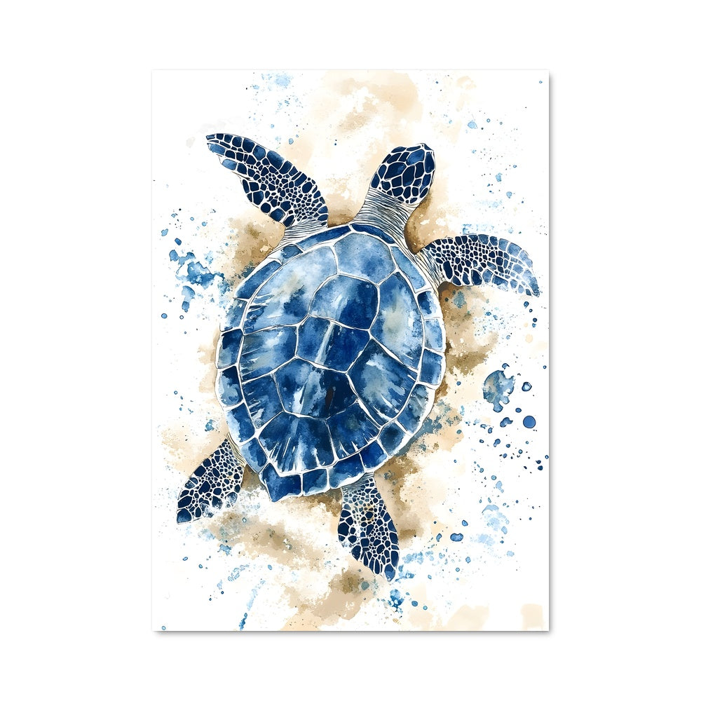 Poster Danse des Tortues