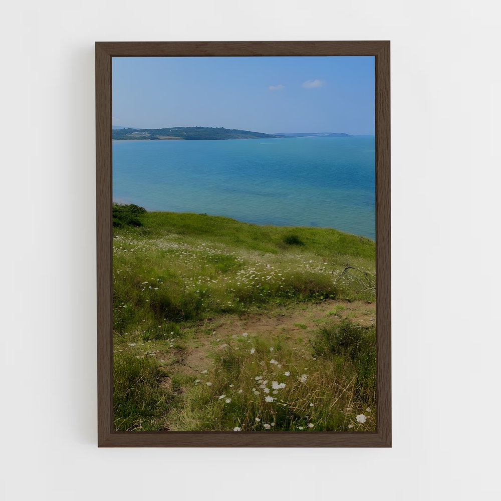 ap-sea cliff-5 cadre Bois foncé