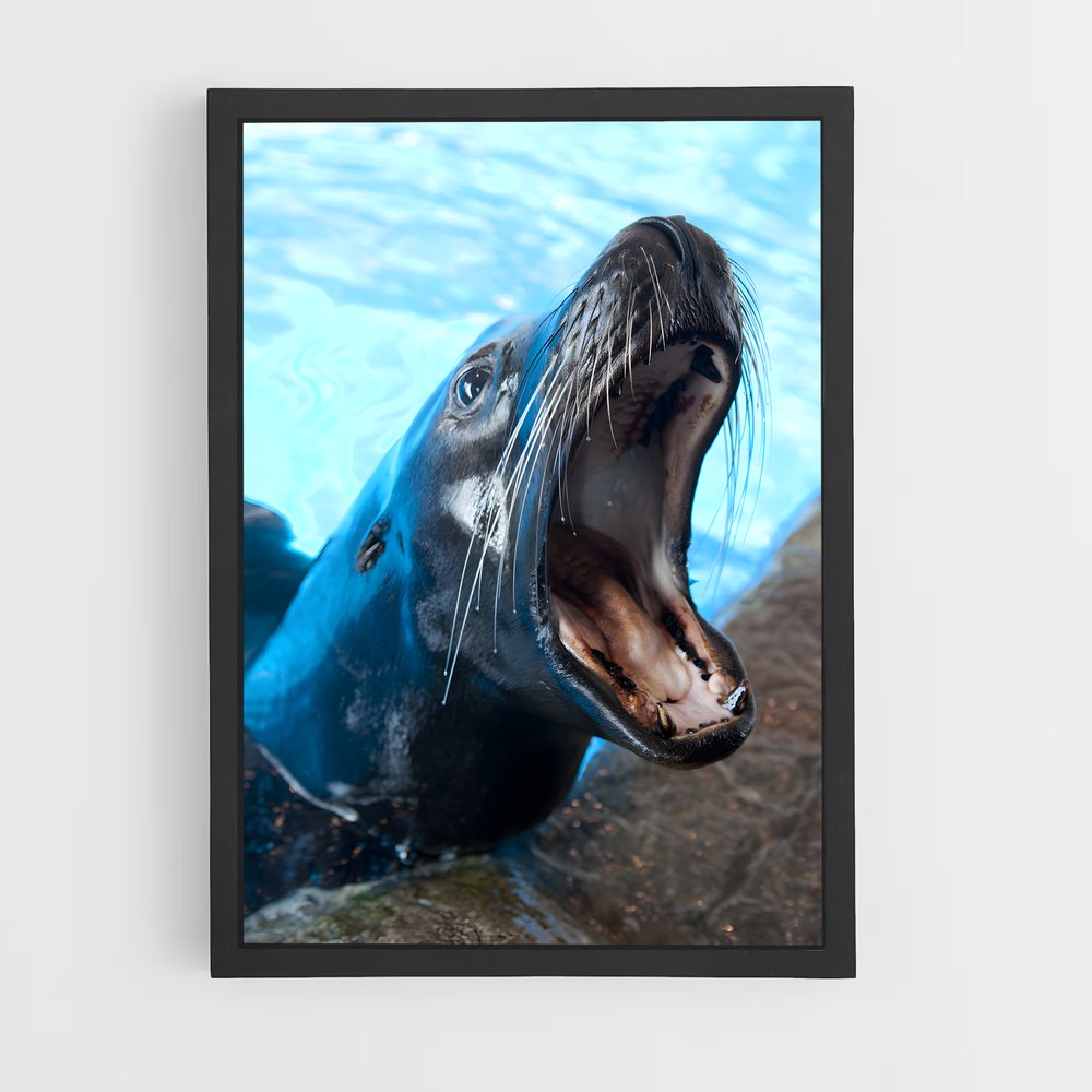 ap-sea lion-6 cadre Noir