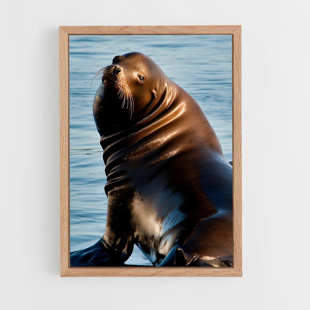 ap-sea lion-7 cadre Bois clair