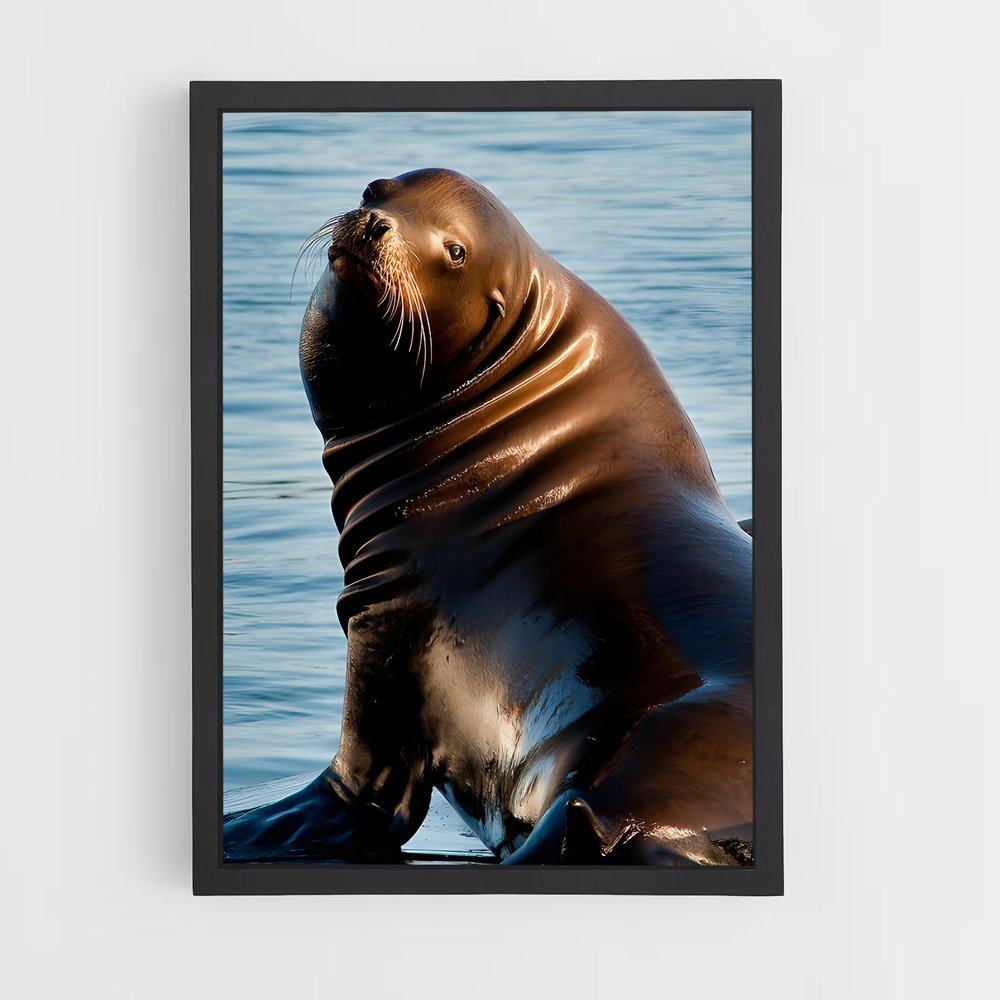 ap-sea lion-7 cadre Noir