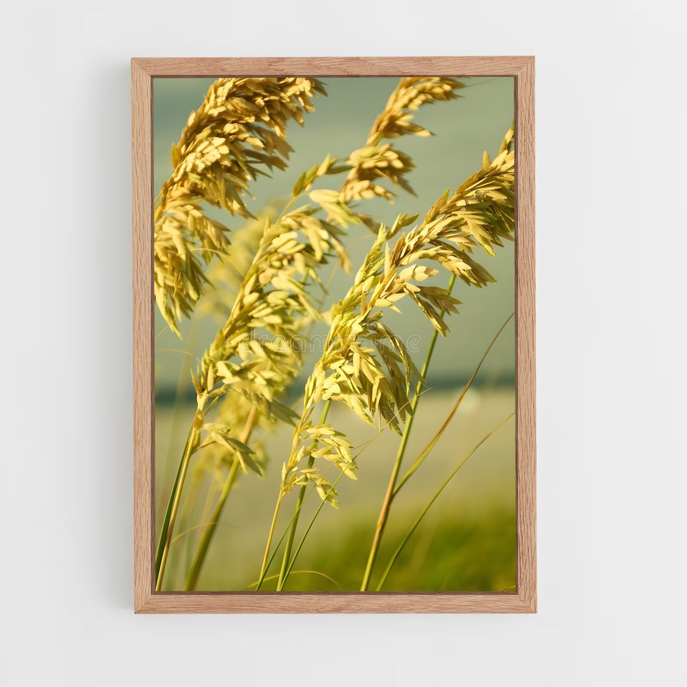 ap-sea oats-1 cadre Bois clair