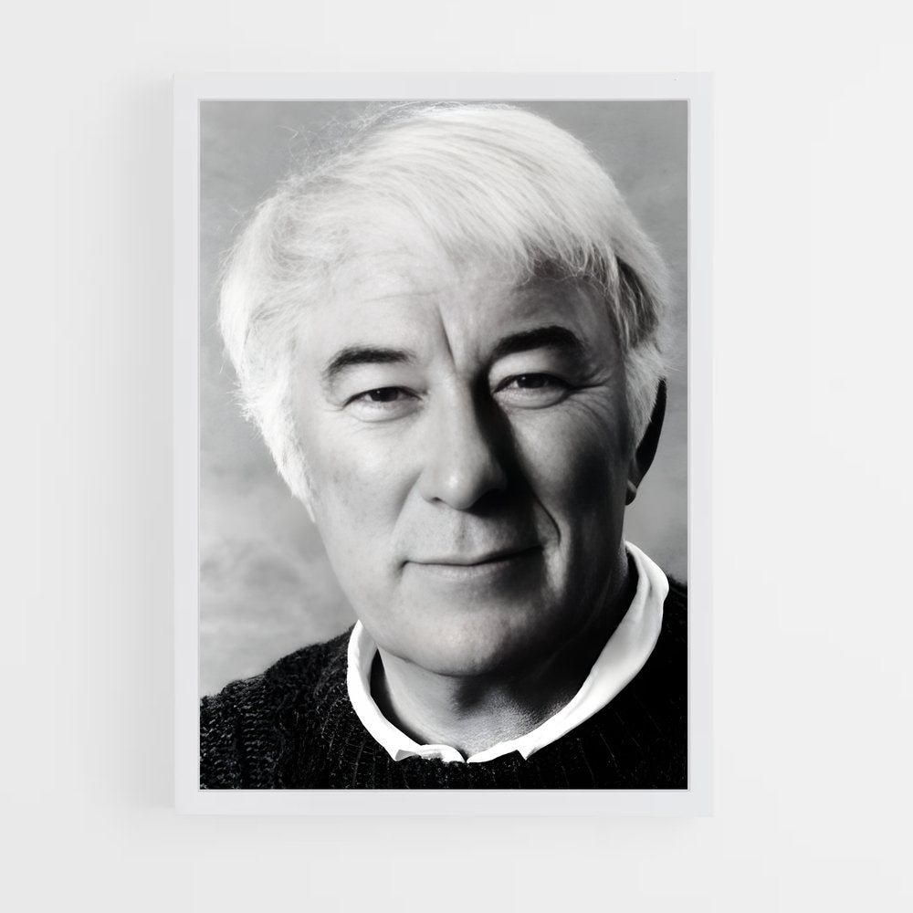 ap-seamus heaney-2 cadre Blanc