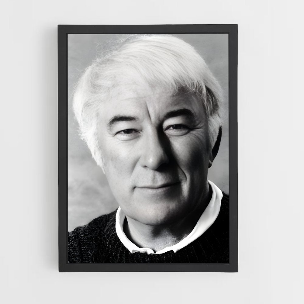 ap-seamus heaney-2 cadre Noir