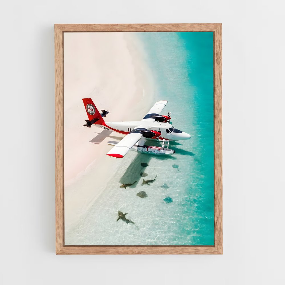 ap-seaplanes-1 cadre Bois clair