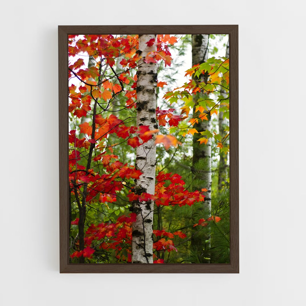 ap-seasons-9 cadre Bois foncé