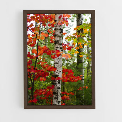 ap-seasons-9 cadre Bois foncé