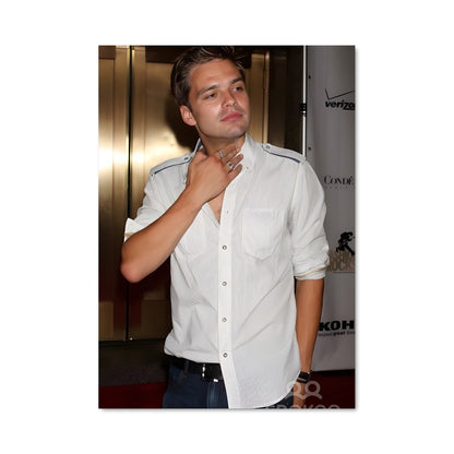 Poster Sebastian stan 8163