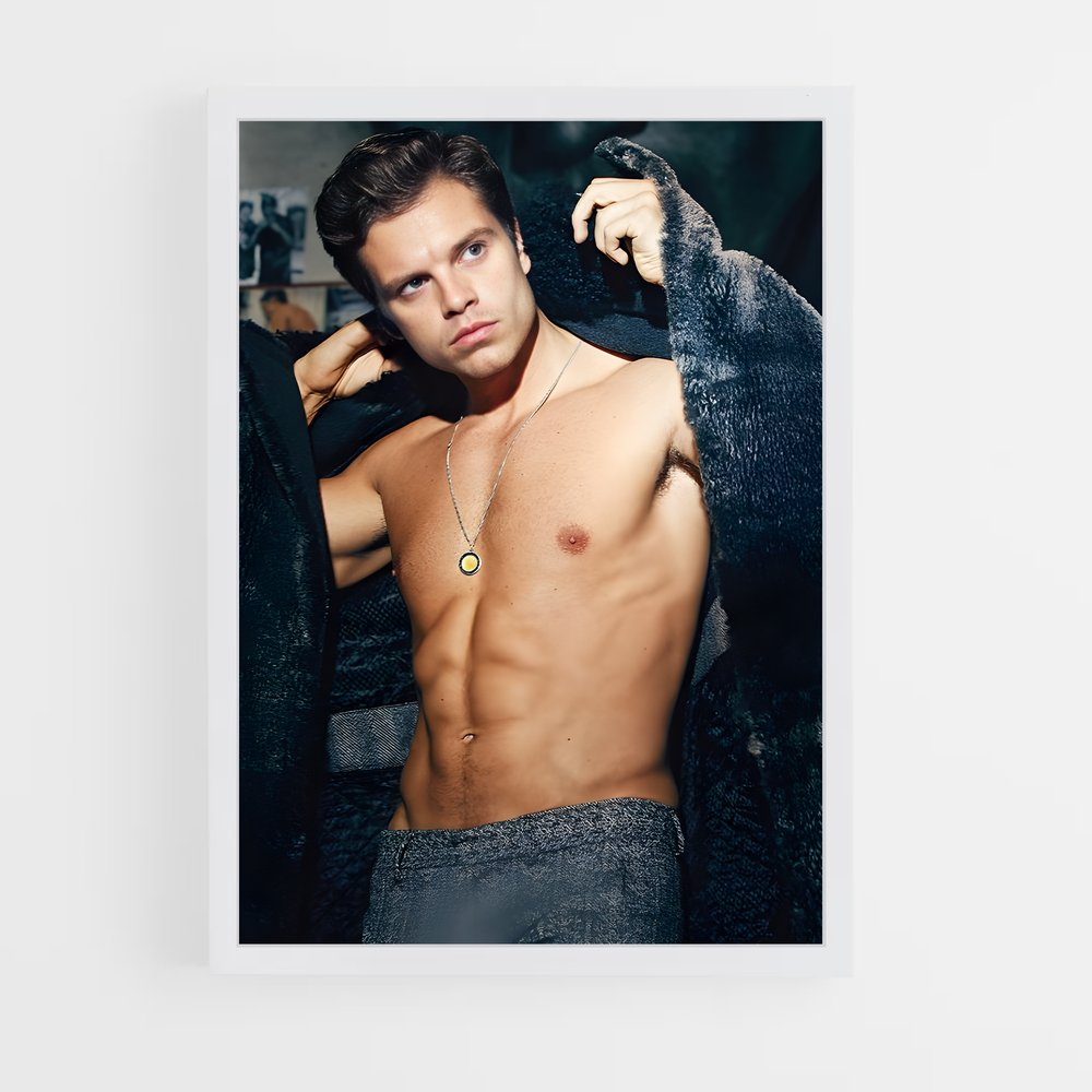 ap-sebastian stan-7 cadre Blanc