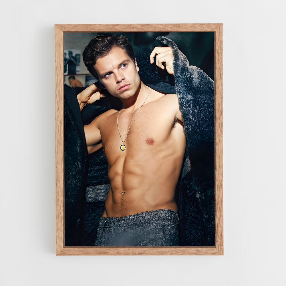 ap-sebastian stan-7 cadre Bois clair