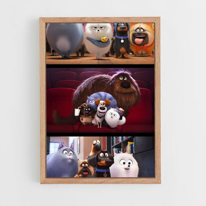 ap-secret life of pets-4 cadre Bois clair