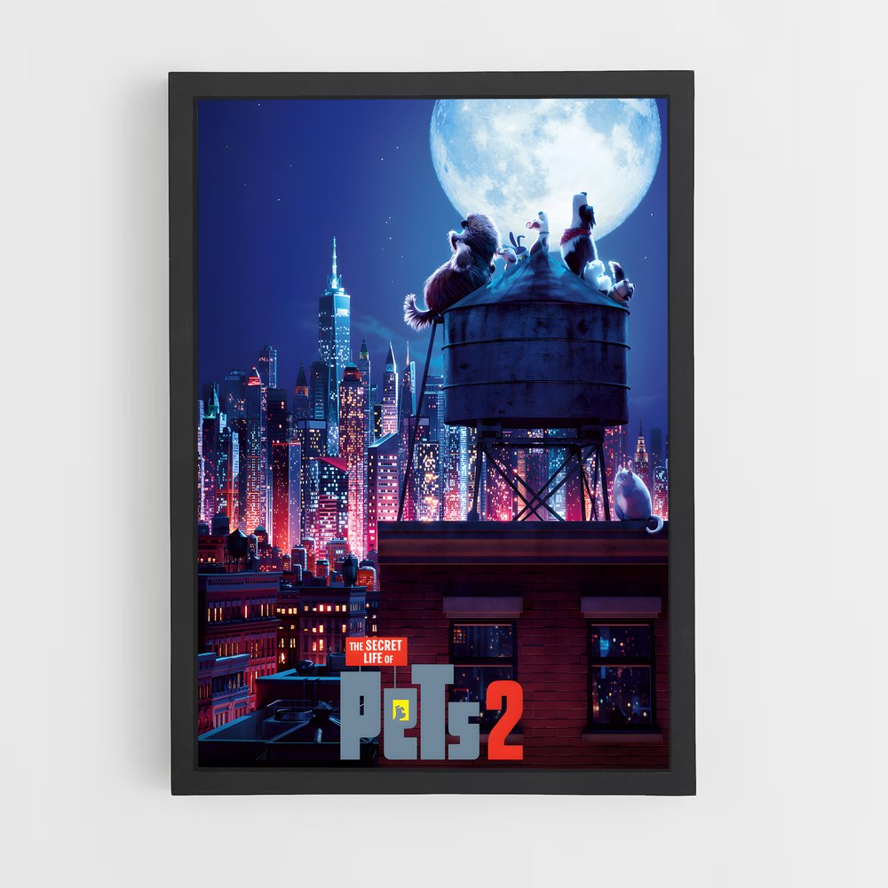 ap-secret life of pets-5 cadre Noir