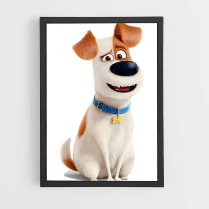 ap-secret life of pets-6 cadre Noir