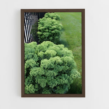 ap-sedum-1 cadre Bois foncé