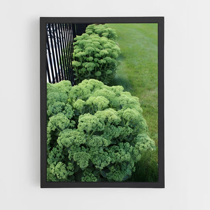 ap-sedum-1 cadre Noir