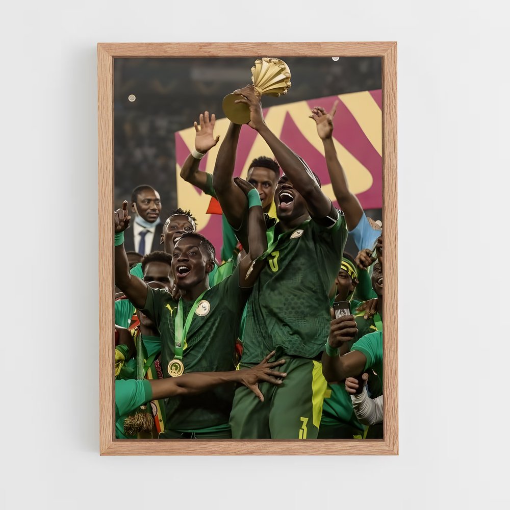 ap-senegal national football team-3 cadre Bois clair