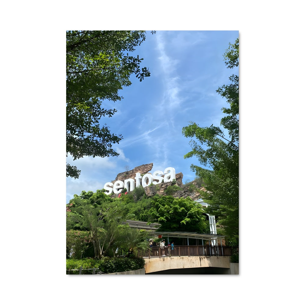 Jungle Signs Poster – Aesthetic Posters