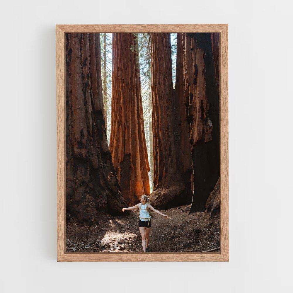 ap-sequoia-2 cadre Bois clair
