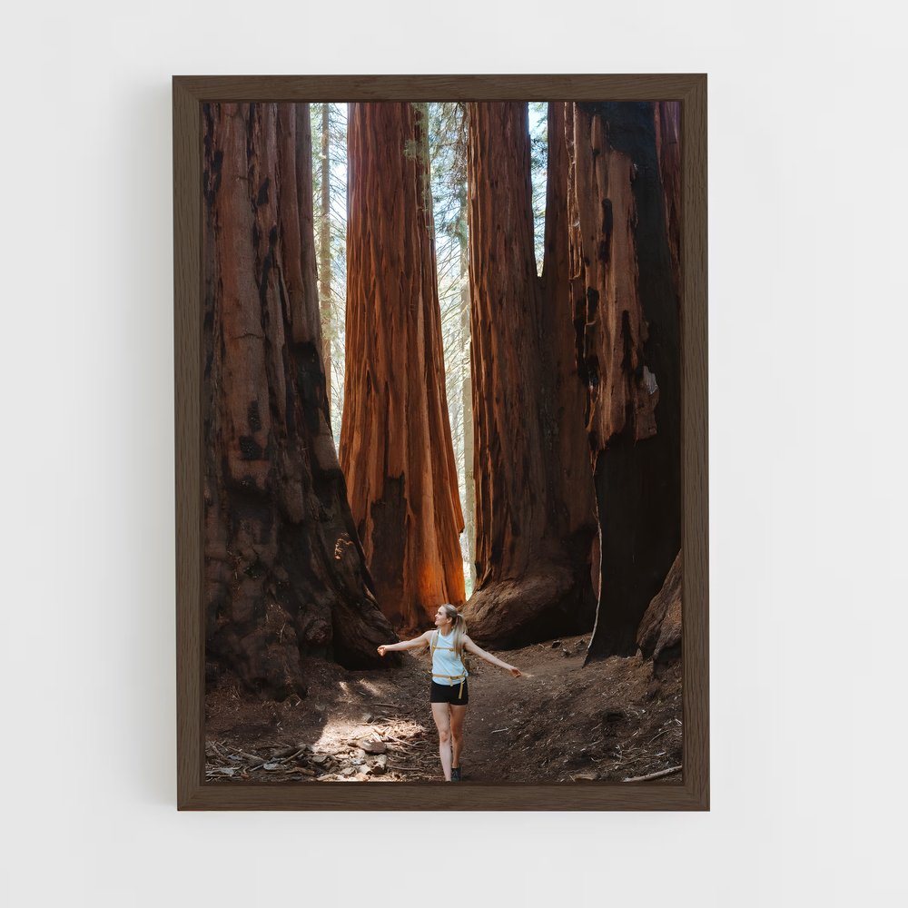 ap-sequoia-2 cadre Bois foncé